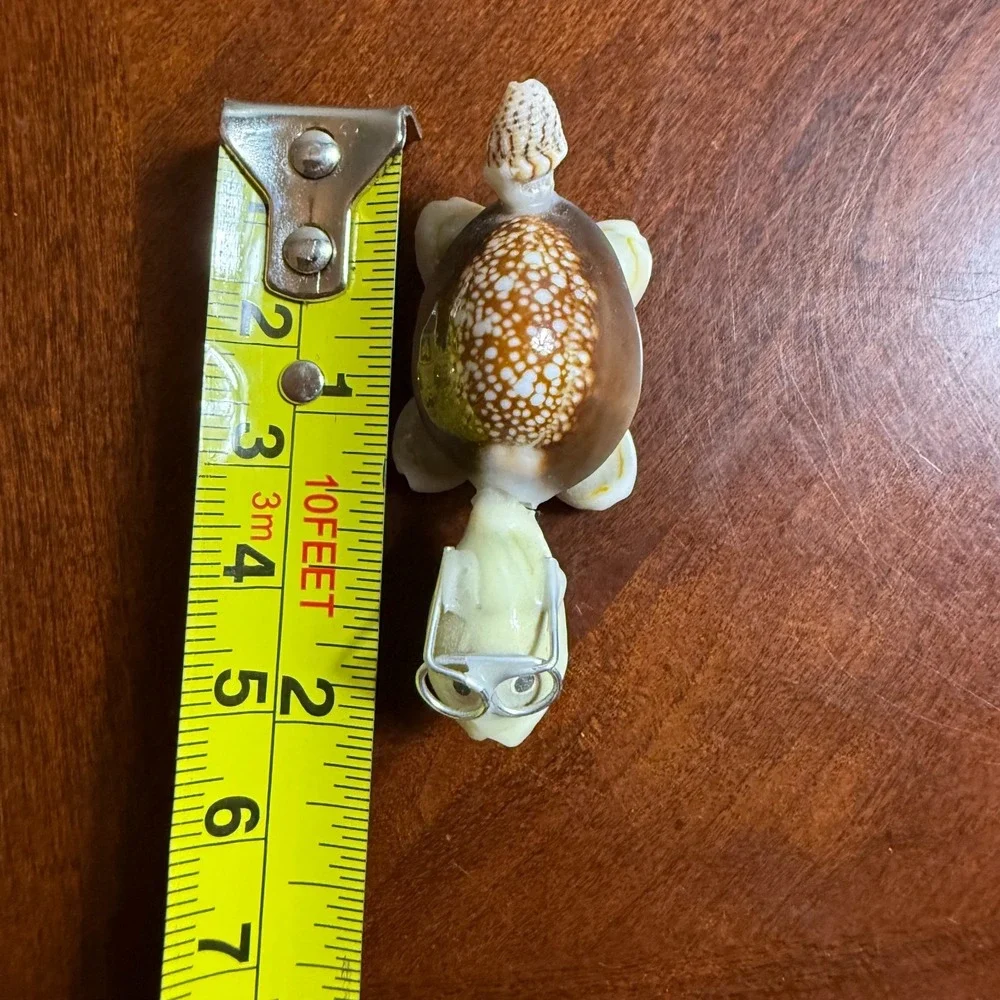 Seashell Turtle Miniature Wearing Glasses‎ Figurine Real Shell